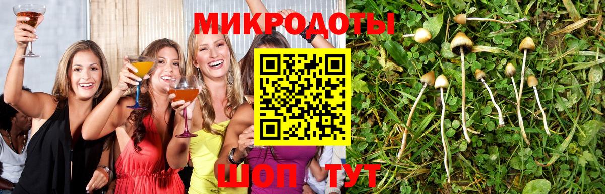 купить   Галлюциногенные грибы ЛСД  Дятьково  Вход с VPN  Галлюциногенные грибы прущие грибы 